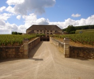 Louis Latour: one of the World's Most Admired Wine Brands